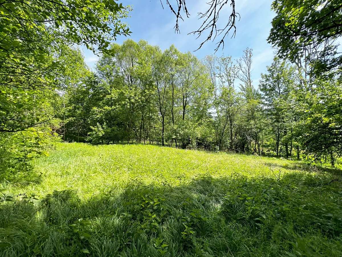 Fotka 16 z 25